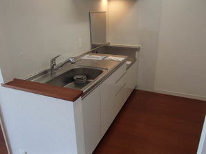 プライムメゾン　セントラルパーク E1303号-3