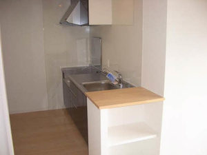 プライムメゾン　セントラルパーク S0209号-2