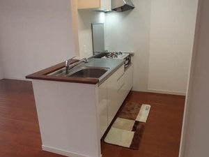 プライムメゾン　セントラルパーク S0308号-4