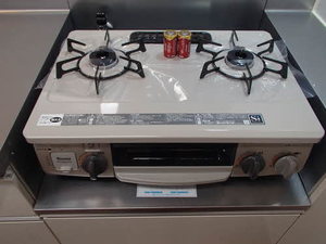 プライムメゾン　セントラルパーク S0308号-5