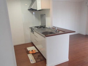 プライムメゾン　セントラルパーク S0512号-4