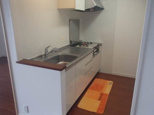 プライムメゾン　セントラルパーク S0910号-4