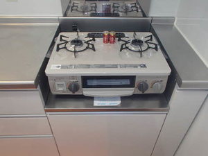 プライムメゾン　セントラルパーク S0910号-5