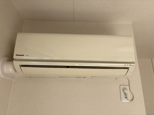 Belle Pur ** A0201号-9