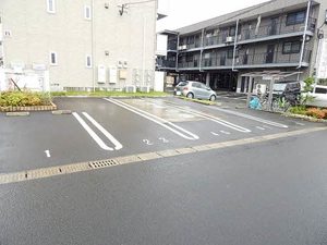 シャーメゾンさくらＡ棟 A0102号-13