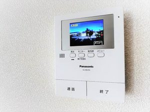 コスモス ** A0102号-11