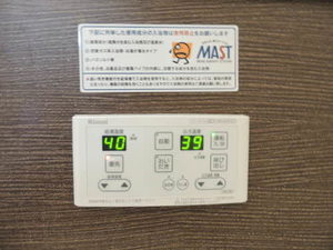 コスモス　＊＊ A0201号-10