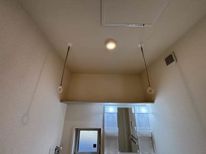 サンフラワー　＊＊ A0101号-13