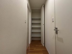 サンフラワー　＊＊ A0101号-14