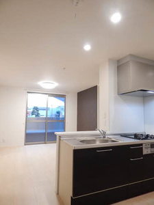 Reich Werden(ライヒヴェルデン) * A0101号-2