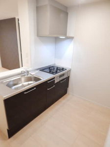 Reich Werden(ライヒヴェルデン) * A0101号-3