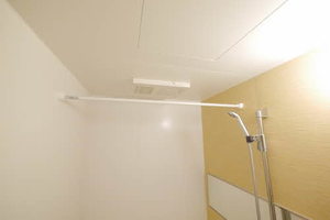 アロエ1 * A0102号-10