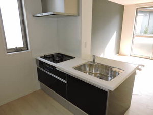 Ｎａｇｏｍｉ　弐番館 B0101号-3