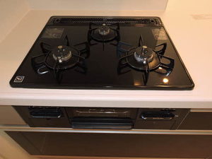 Ｎａｇｏｍｉ　弐番館 B0101号-9