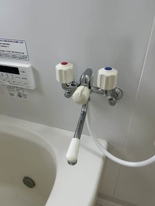 スカイコートタウン B棟 B0202号-5