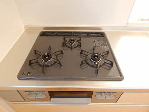 ＮＡＤＹＡⅡ　Ｂ棟 B0101号-6