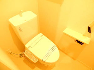 シャーメゾン　ハナブサ　＊＊ A0102号-13