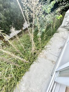 アネックス鍋島　Ａ棟 A0102号-12