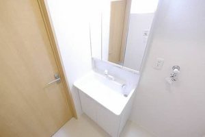 プロヌーブ　ブライトネス　＊＊ A0202号-5