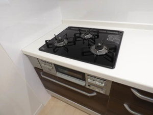 メゾン シレンス今川** A0201号-9