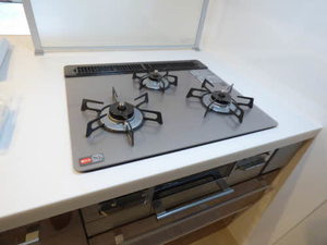 プレミアム大濠 A0101号-10