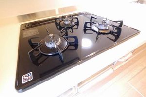 ＮＡＤＹＡ　Ⅲ A0101号-14