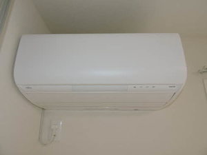 ブラン・ベレオ　＊ A0202号-13