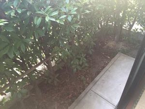 ディアス大里 A棟 A0102号-5