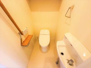 ａｉ　ｐｒｉｍｅ A0205号-12