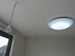 セントリビエ英＊ A0203号-13