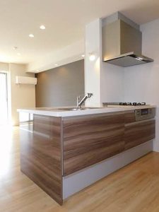 Ｓｅｒｅｎａ　Ｖｉｌｌａ　＊＊ A0302号-2