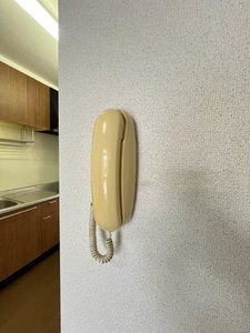 バリュージュD&M * A0102号-13