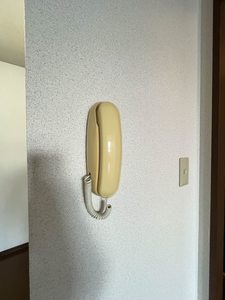 バリュージュＤ＆Ｍ　＊ A0202号-11