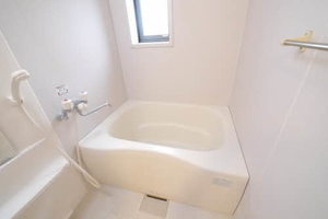 シェソワ Ⅱ棟 B0101号-4