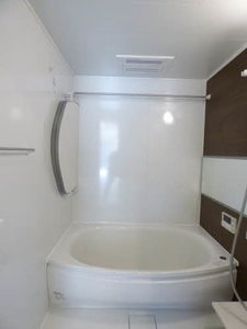 ＳＨＭ　Ｓｐｒｉｎｇ　Ｔｅｒｕ　＊ A0102号-11