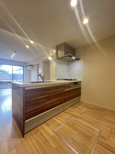 ＳＨＭ　Ｓｐｒｉｎｇ　Ｔｅｒｕ　＊ A0103号-3