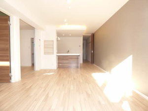 ＳＨＭ　Ｓｐｒｉｎｇ　Ｔｅｒｕ　＊ A0203号-3