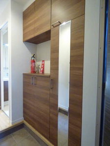 ＳＨＭ　Ｓｐｒｉｎｇ　Ｔｅｒｕ　＊ A0203号-12