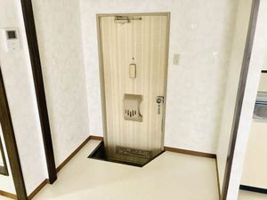 ホワイトパール H0105号-11