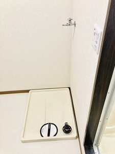 ホワイトパール H0105号-14