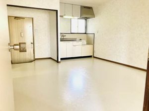 ホワイトパール H0105号-15