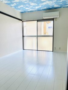 ホワイトパール H0203号-8