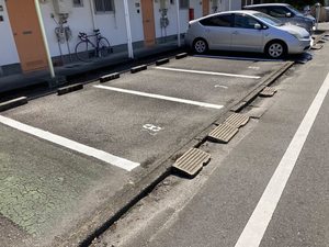 ホワイトパール H0203号-12