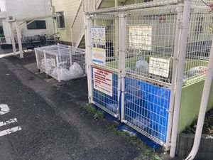 ホワイトパール H0203号-15