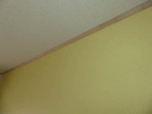 スカイパール S0202号-6