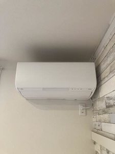 ＳＨＭ　Ｆｅｌｉｓｅｅｄ　ＫＨ　＊ A0102号-5