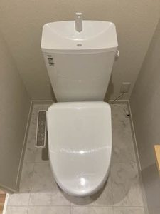 ＳＨＭ　Ｆｅｌｉｓｅｅｄ　ＫＨ　＊ A0102号-13