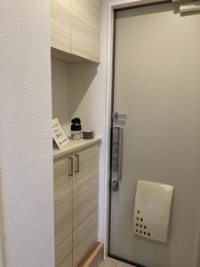 ＳＨＭ　Ｆｅｌｉｓｅｅｄ　ＫＨ　＊ A0102号-14