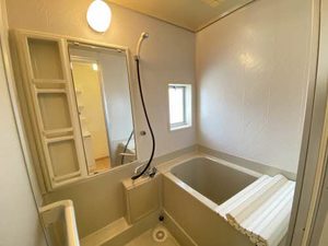 プリムローズ A0201号-8