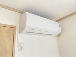 プリムローズ A0201号-13